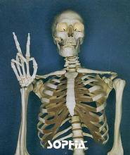 Sophia : Shinkaron ~Good Morning! -Hello! 21st-Century~